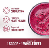 Force Factor Total Beets 90sv